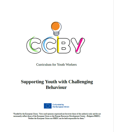 Curriculum for youth workers cover